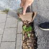 Tukkeutunut sadevesikouru